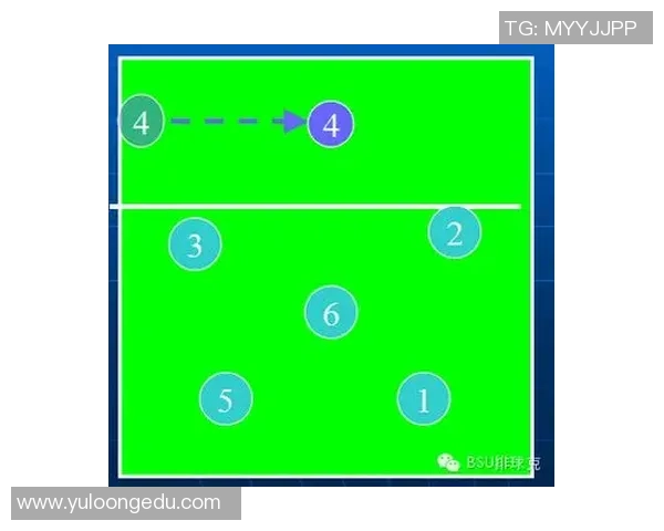 南京与武汉排球队对决后的战术分析与节奏探讨